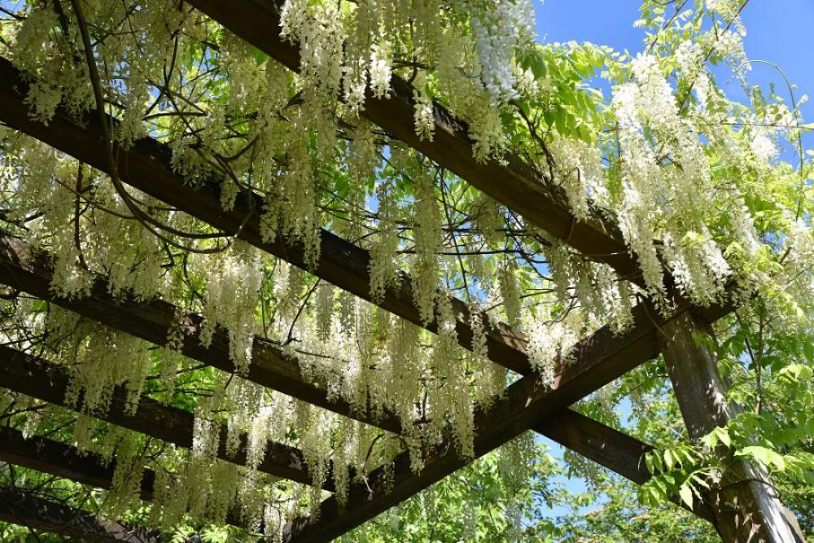 pergola jardin, pergola aluminium, pergolas