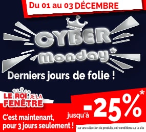 Black Friday Week le roi de la fenetre
