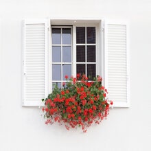 volets en bois battant sur mesure Blanc